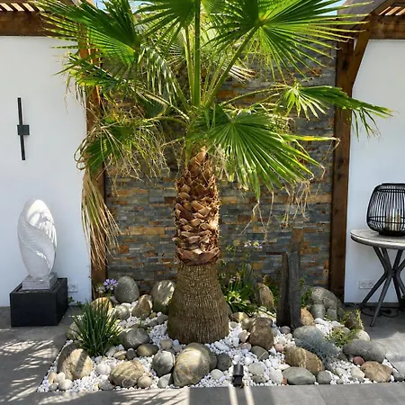 Luxe Piscine Chauffee Spas Interieur Et Exterieur Proche ヴィラ Salles-sur-Mer